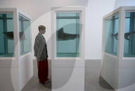 NEWS - Damien Hirst Formaldehyd-Skulpturen Ausstellung, Gagosian Gallery, London