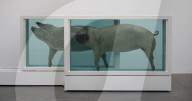 NEWS - Damien Hirst Formaldehyd-Skulpturen Ausstellung, Gagosian Gallery, London