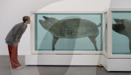 NEWS - Damien Hirst Formaldehyd-Skulpturen Ausstellung, Gagosian Gallery, London