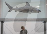 NEWS - Damien Hirst Formaldehyd-Skulpturen Ausstellung, Gagosian Gallery, London