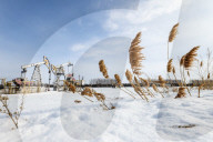 Oil Production - Russia