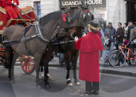 Royal horse drawn carriage in Trafalgar Square