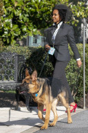 NEWS - Commander, der Hund von US-Präsident Joe Biden, wird ausgeführt