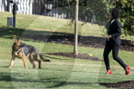 NEWS - Commander, der Hund von US-Präsident Joe Biden, wird ausgeführt