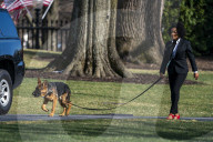 NEWS - Commander, der Hund von US-Präsident Joe Biden, wird ausgeführt