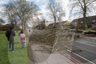 An almighty crash’ – battered Britain still reeling at the havoc wreaked by Storm Eunice