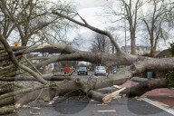 An almighty crash’ – battered Britain still reeling at the havoc wreaked by Storm Eunice