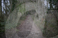 A great walk to a great pub: The Packhorse, near Bath, Somerset