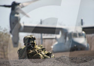 NEWS - Japanisches Militär und US-Marines bei einer gemeinsamen Militärübung in Japan