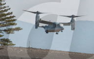 NEWS - Japanisches Militär und US-Marines bei einer gemeinsamen Militärübung in Japan