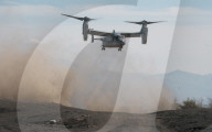 NEWS - Japanisches Militär und US-Marines bei einer gemeinsamen Militärübung in Japan