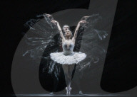 Swan Lake by The Royal Ballet