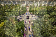 Early morning yoga class in the Temperate House at Kew Gardens
