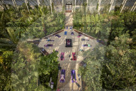 Early morning yoga class in the Temperate House at Kew Gardens