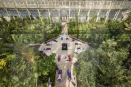 Early morning yoga class in the Temperate House at Kew Gardens