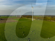 NEWS - Eneco Windkraftanlagen in der niederländischen Gemeinde Etten-Leur
