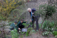 Prime Minister Boris Johnson-The Queen’s Green Canopy
