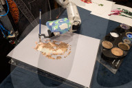 Mind-blowing’: Ai-Da becomes first robot to paint like an artist