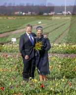 ROYALS - Besuch der niederländischen Königin im Tulpenfeld