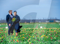 ROYALS - Besuch der niederländischen Königin im Tulpenfeld