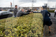 ROYALS - Besuch der niederländischen Königin im Tulpenfeld
