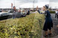 ROYALS - Besuch der niederländischen Königin im Tulpenfeld