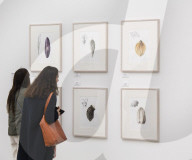RHS Botanical Art & Photography Show 
at the Saatchi Gallery, London.