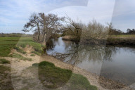 A great walk to a great pub: the Sun Inn, Dedham, Essex