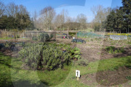 A great walk to a great pub: the Sun Inn, Dedham, Essex