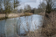 A great walk to a great pub: the Sun Inn, Dedham, Essex
