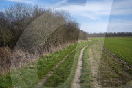 A great walk to a great pub: the Sun Inn, Dedham, Essex