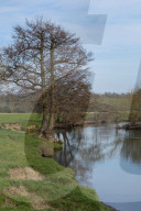 A great walk to a great pub: the Sun Inn, Dedham, Essex