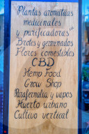 REPORTAGE - Daily Life in Valencia
