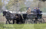 Sophie Countess of Wessex Carriage Driving at Windsor Castle