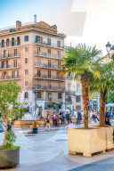 REPORTAGE - Daily Life in Valencia