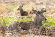 Mild and sunny Easter weather for London and the South East.