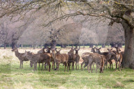 Mild and sunny Easter weather for London and the South East.