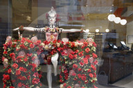 REPORTAGE - Alltag in Wien