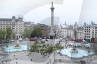 Ray Mears - rewild London's Trafalgar Square
