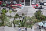 Ray Mears - rewild London's Trafalgar Square