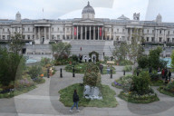 Ray Mears - rewild London's Trafalgar Square