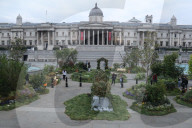 Ray Mears - rewild London's Trafalgar Square