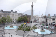 Ray Mears - rewild London's Trafalgar Square
