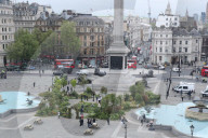 Ray Mears - rewild London's Trafalgar Square