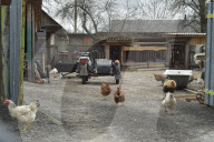 They were hooligans: Chernobyl locals reeling after Russian invasion