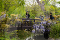 Regent’s Park, Queen Marty’s Garden, London, Great Britain 
2nd May 2022 

Bank Holiday Monday 2nd may 2022 - people enjoy the warm weather at Regent’s Park, in London.