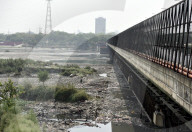 NEWS - Indien: Der Fluss Yamuna in Delhi ist ausgetrocknet