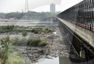 NEWS - Indien: Der Fluss Yamuna in Delhi ist ausgetrocknet
