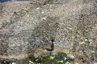 NEWS - Indien: Der Fluss Yamuna in Delhi ist ausgetrocknet