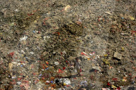 NEWS - Indien: Der Fluss Yamuna in Delhi ist ausgetrocknet